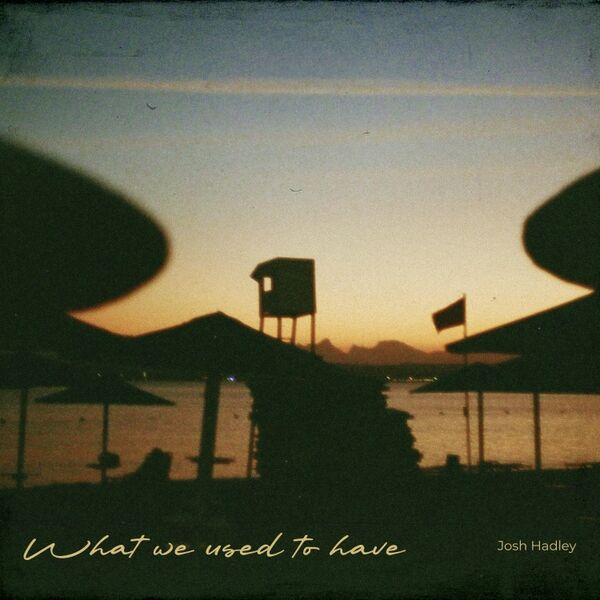 Cover art for What We Used to Have
